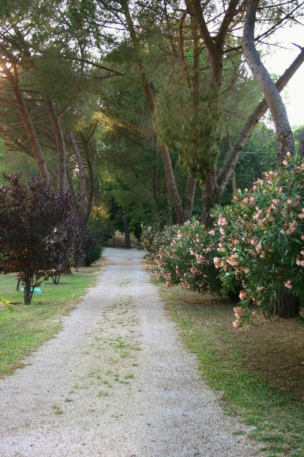 Green Oasis B&B La Storta Exterior foto